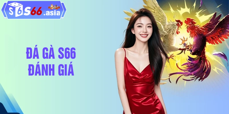 Đánh giá khách quan của người chơi về đá gà S66